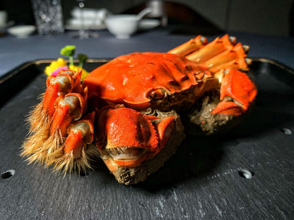 Hairy Crab for Sale